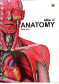 Atlas Of Anatomy