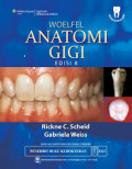 Woefel Anatomi Gigi