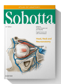 Image of Atlas Of Anatomy Sobotta : Head,Neck And Neuroanatomy